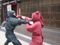 Ninja Fight.jpg