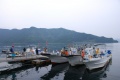 Kihokufishing.jpg