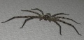Thumbnail for version as of 14:20, 21 April 2010