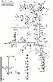 Thumbnail for version as of 23:57, 12 July 2010
