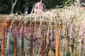 Thumbnail for version as of 08:50, 16 March 2011